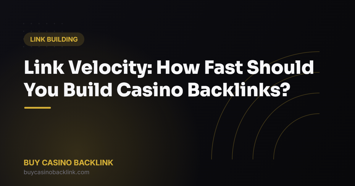 Link Velocity: How Fast Should You Build Casino Backlinks?